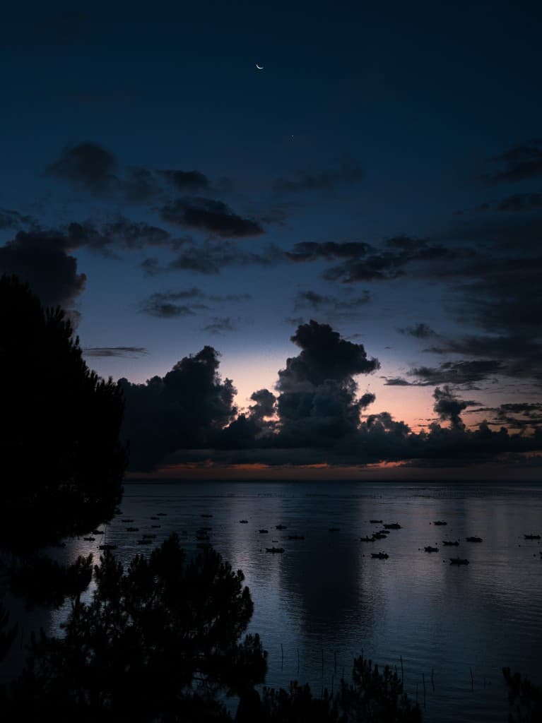 Dark Night