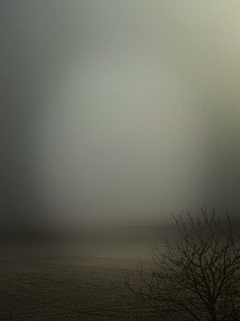 Foggy
