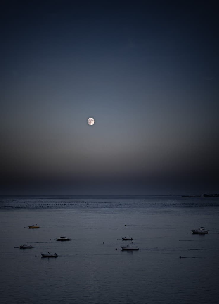Moon Night